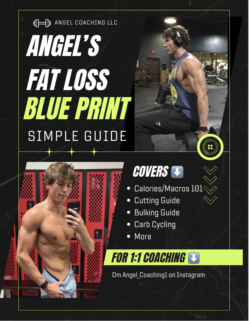 Training & Fat Loss Blueprint Bundle Cover